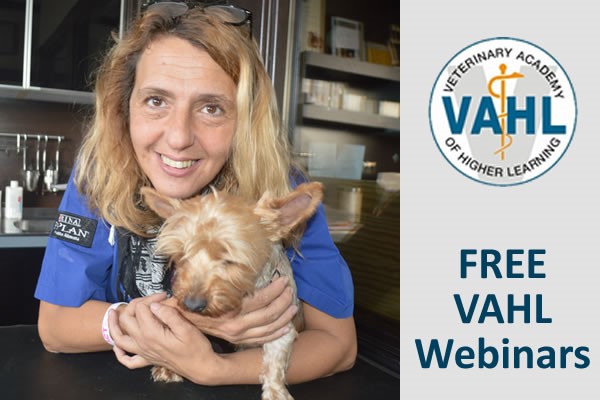 CPD at Veterinary Academy of Higher Learning - picture displays E-Learning content VAHL Webinar